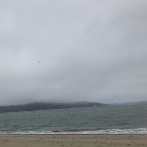 Meet your Posher, Ava